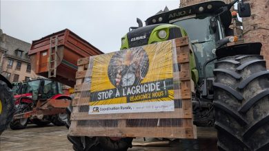 france-:-les-agriculteurs-francais-bloquent-le-port-de-bordeaux-pour-protester